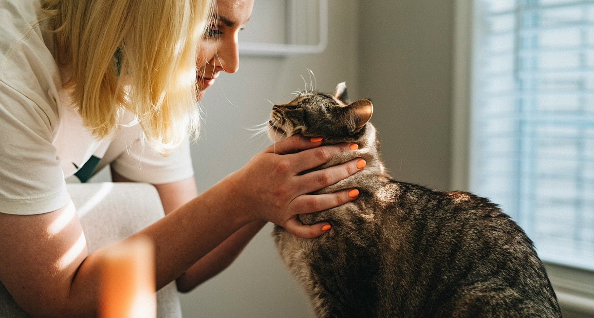 Veterinarian with cat